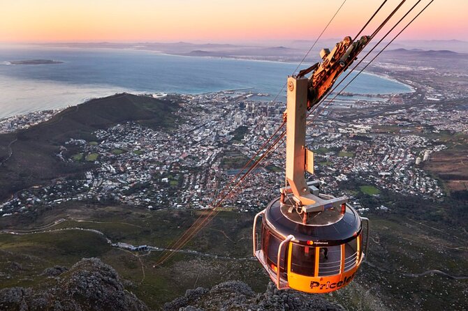 Table Mountain, Penguins & Cape of Good Hope Small Group Tour - Key details that shape the day