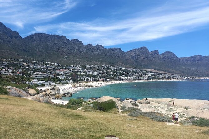 Table Mountain, Penguins & Cape of Good Hope Small Group Tour - Table Mountain requires a separate ticket