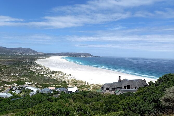 Table Mountain, Penguins & Cape of Good Hope Small Group Tour - Maiden’s Cove shows off Clifton and Camps Bay