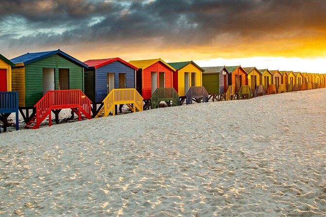 Table Mountain, Penguins & Cape of Good Hope Small Group Tour - Boulders Beach is the wildlife centerpiece