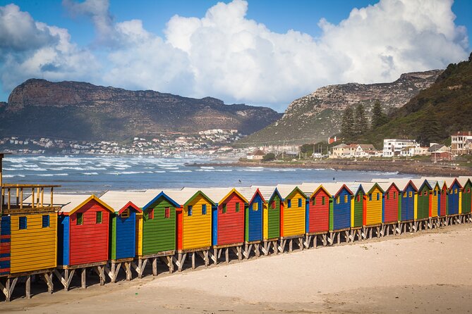 Table Mountain, Penguins Colony and Cape of Good Hope Small Group Shared Tour - Chapman’s Peak Drive is more than a transfer