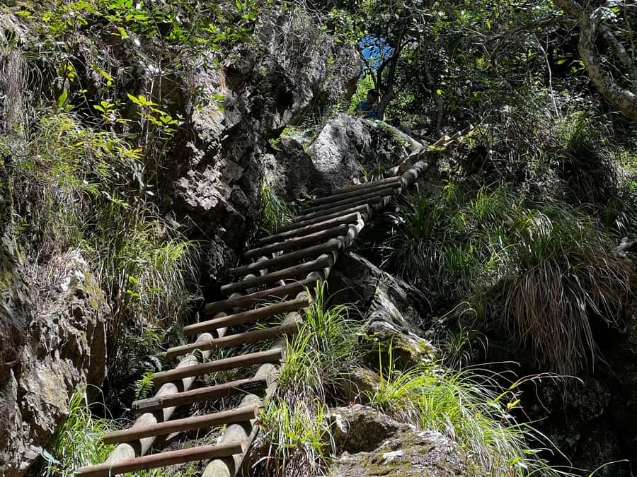 Table Mountain: Skeleton Gorge Hike - Key points to know before you go