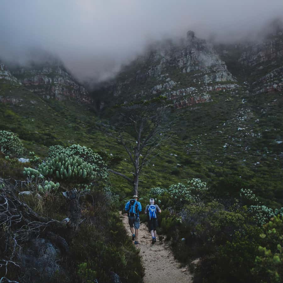 Table Mountain: Skeleton Gorge Hike - The Skeleton Gorge ladders require patience
