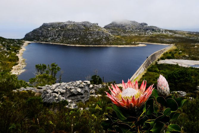 Table Mountain Summit Hike via Kasteelspoort - The steady climb on Kasteelspoort