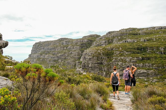 Table Mountain Summit Hike via Kasteelspoort - Reaching the Back Table at 740 meters