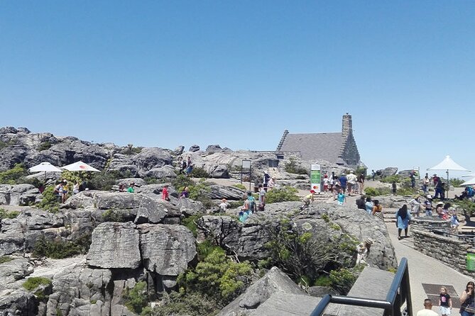 Table Mountain Tour - Who should book this Table Mountain tour?