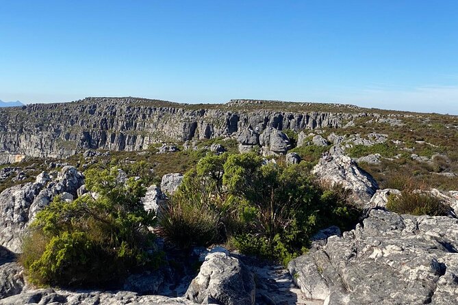 Table Mountain Tour including Pick Up & Drop Off from Cape Town - What three hours on Table Mountain really means