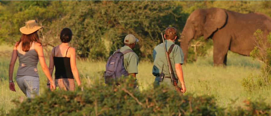 Tala Game Reserve & Natal Lion Park 1/2 Day Tour from Durban - Key points to know before booking