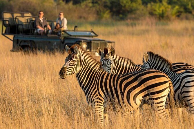 Tala Game Reserve, Phezulu Safari & Natal Lion Park Full Day Tour From Durban - Key points at a glance