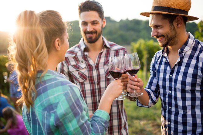 Taste + Tram the Winelands Tour: Franschhoek, Stellenbosch, Paarl - The Franschhoek Wine Tram gives the day its character