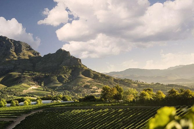 Taste + Tram the Winelands Tour: Franschhoek, Stellenbosch, Paarl - Rickety Bridge or Plaisir adds a second estate tasting
