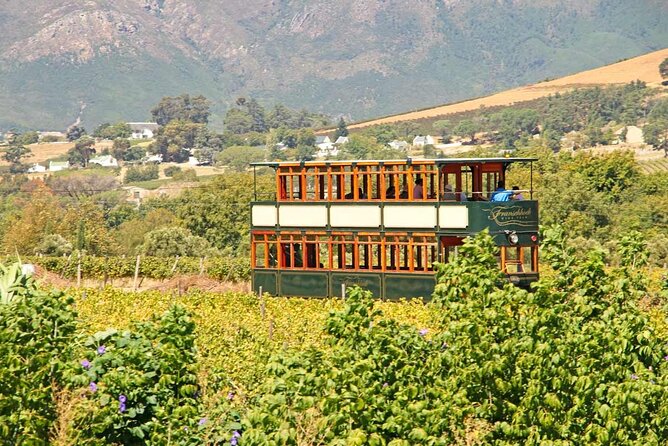 Taste + Tram the Winelands Tour: Franschhoek, Stellenbosch, Paarl - Franschhoek lunch is flexible, but not arranged for you
