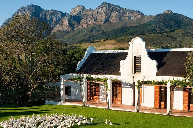 Tastes of Stellenbosch Wine Full Day Tour with Private Transfer - Key points to know before booking