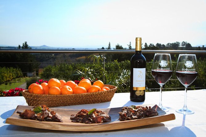 Tastes of Stellenbosch Wine Full Day Tour with Private Transfer - What $227 gets you