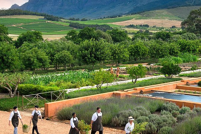 Tastes of Stellenbosch Wine Full Day Tour with Private Transfer - Guides, group size, and the feel of the day