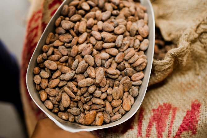 The Art of Chocolate Making Bean-To-Bar Experience in Cape Town - Who will enjoy this most