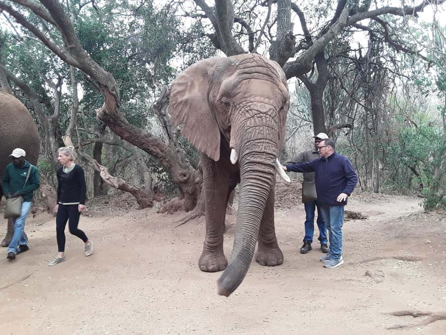 The Elephant and Monkey Sanctuary. - Key points to know before booking