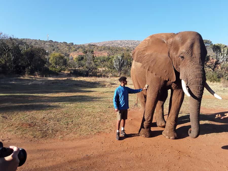 The Elephant and Monkey Sanctuary. - Timing, comfort, and what to pack