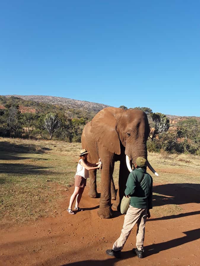 The Elephant and Monkey Sanctuary. - Who will enjoy this experience most