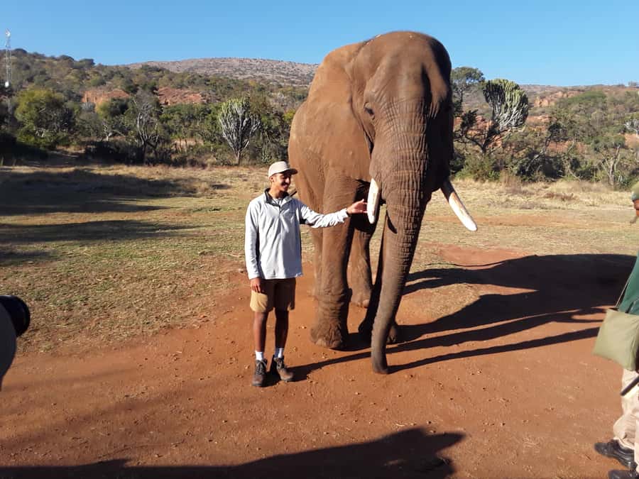 The Elephant and Monkey Sanctuary. - Magaliesburg mountains and Hartbeespoort Dam