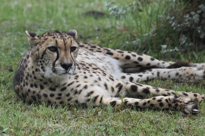 The Private Wildlife Tour - Bonnie’s personal touch