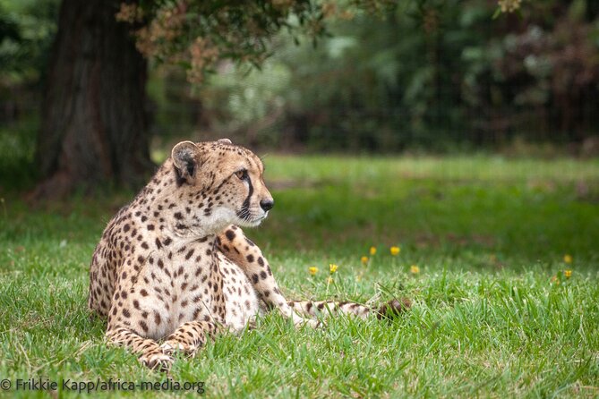 The Private Wildlife Tour - Who will enjoy this private wildlife tour