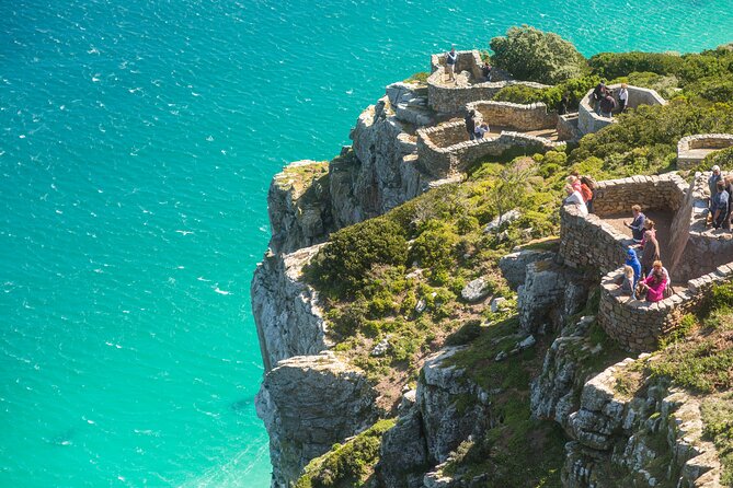 The Road Trip (Cape Point and Penguins) - Why this Cape Peninsula road trip works