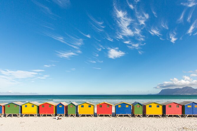 The Road Trip (Cape Point and Penguins) - Boulders Beach: one hour with African Penguins