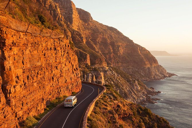 The Road Trip (Cape Point and Penguins) - What the small-group vehicle adds