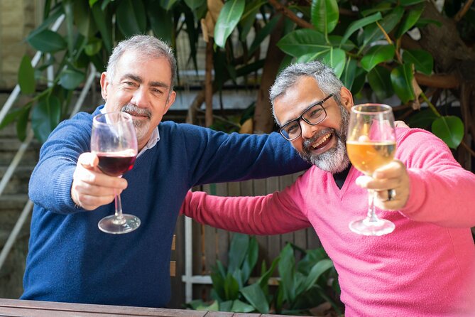 Top 3 Cape Town Wineries Half Day Private Tour - What the Cape Town winery trip is really like