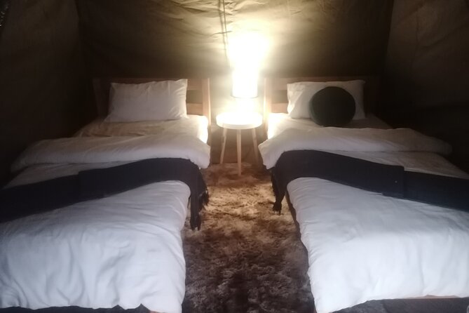 Two day Kruger National Park Safari from Johannesburg - What the Price Really Buys