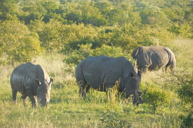 Two day Kruger National Park Safari from Johannesburg - Reaching the Tented Camp Near Pretoriuskop