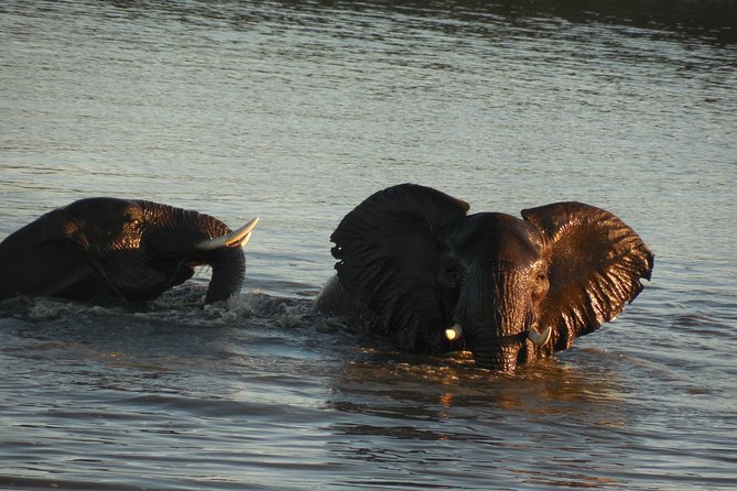 Two Days, One Night Tour: Blyde River to Kruger National Park - The Panorama’s high points and rock formations