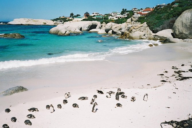 Ultimate Cape Point Tour from Cape Town - Full Day - Bo-Kaap and Table Mountain: a colorful start