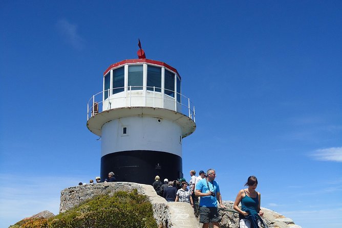 Ultimate Cape Point Tour from Cape Town - Full Day - Groot Constantia and the optional wine tasting