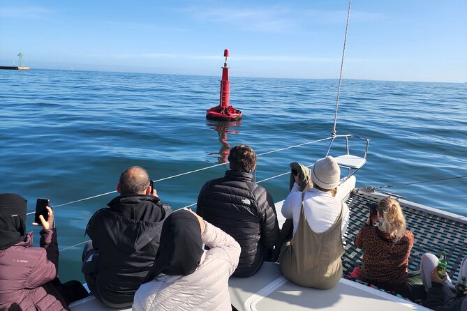 V&A Waterfront Marine Big 5 Ocean Safari - What the 90-minute ride feels like