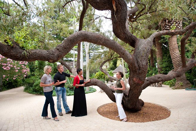Van Loveren Avant-garde food & wine pairing experiences - Accessibility and family planning
