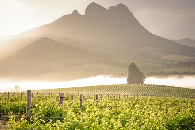 Vine Hopper: Hop-On Hop-Off Wine Tour - Northern Route - Quick take: what matters most