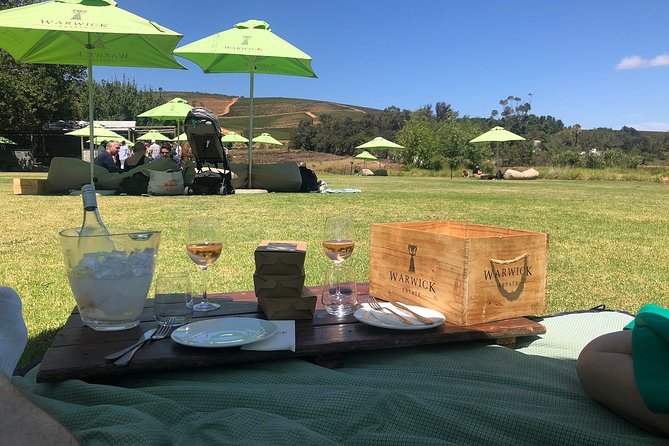 Vine Hopper: Hop-On Hop-Off Wine Tour - Northern Route - Simonsig: a smart first stop