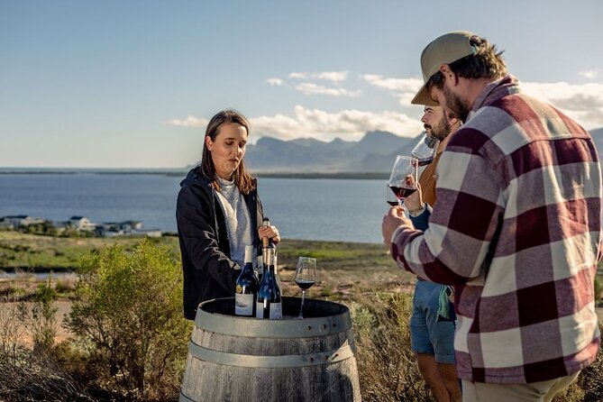 Vineyard Safari and Wine Tasting in Hermanus with Guide - Why the $26.02 price can be good value