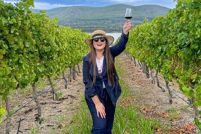 Vineyard Safari and Wine Tasting in Hermanus with Guide - Fitting the safari into a Hermanus day