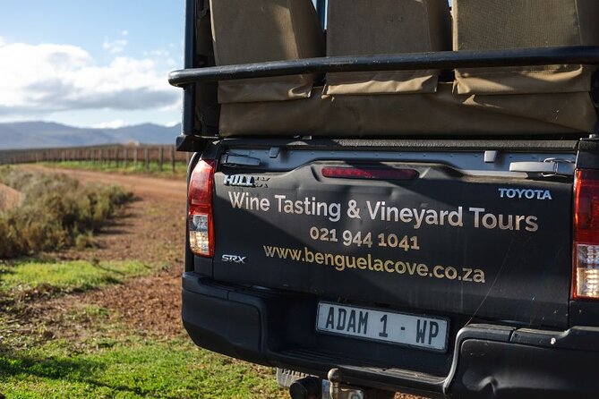 Vineyard Safari and Wine Tasting in Hermanus with Guide - Booking, cancellations, and practical limits