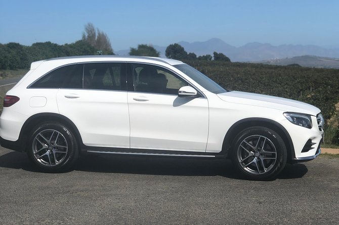 VIP Cape Town Private Guided Tour in Premium Luxury Vehicle - The guide can make or break the day