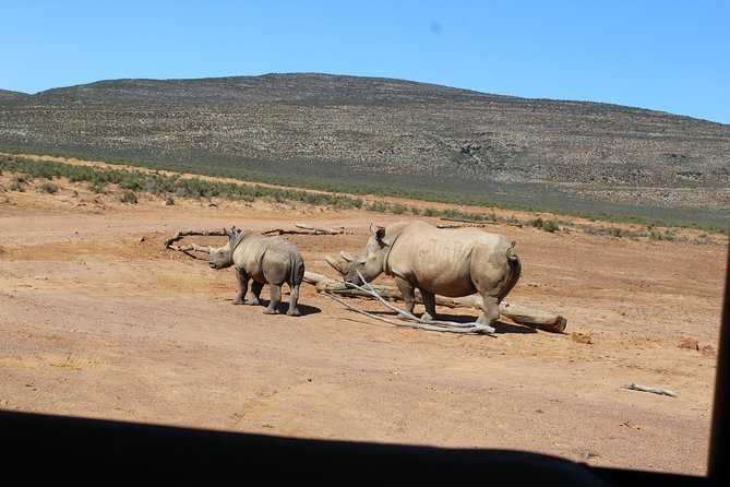 Visit African Big 5 Safari Aquila Game Reserve from Cape Town - full Day - The Cape Town pickup and the first miles east