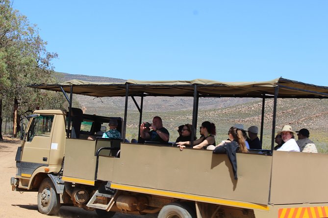 Visit African Big 5 Safari Aquila Game Reserve from Cape Town - full Day - Meals, the pool, and seasonal downtime