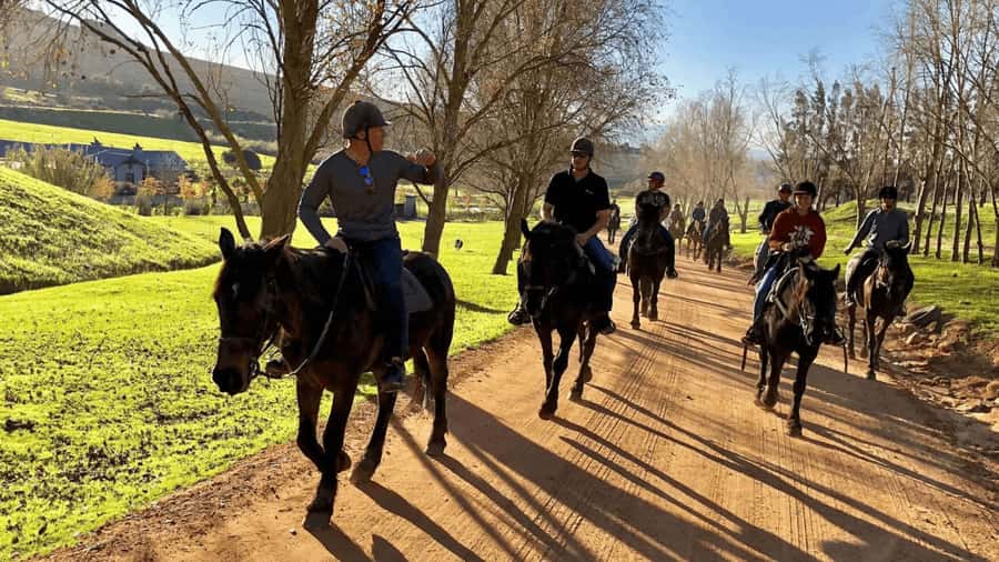 Vrede en Lust Wine Estate:1-Hour Horseback Riding Experience - Key points to know before you ride