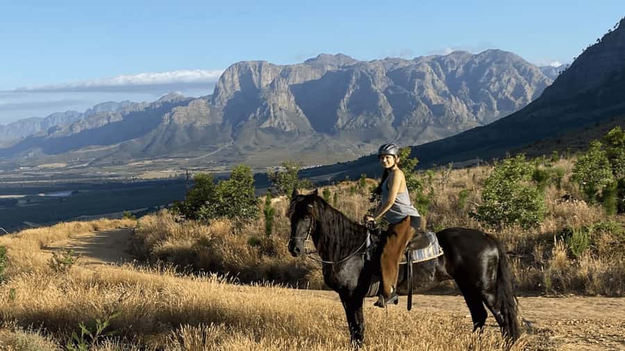 Vrede en Lust Wine Estate:1-Hour Horseback Riding Experience - The briefing and meeting your horse