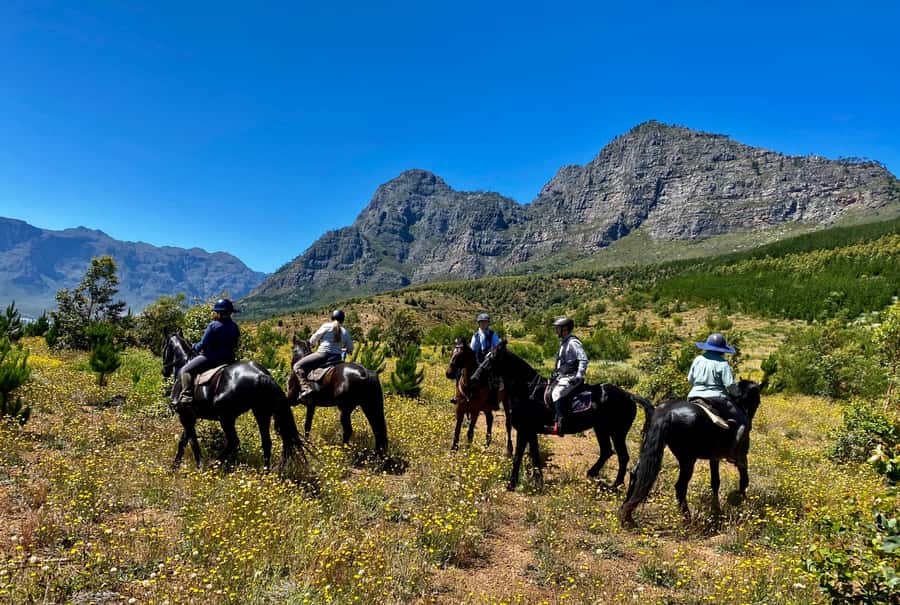 Vrede en Lust Wine Estate:1-Hour Horseback Riding Experience - Mountain views and the possible nature reserve route