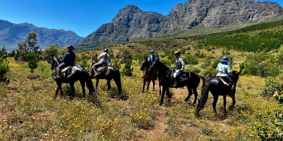 Vrede en Lust Wine Estate:1-Hour Horseback Riding Experience - Who should book this ride?