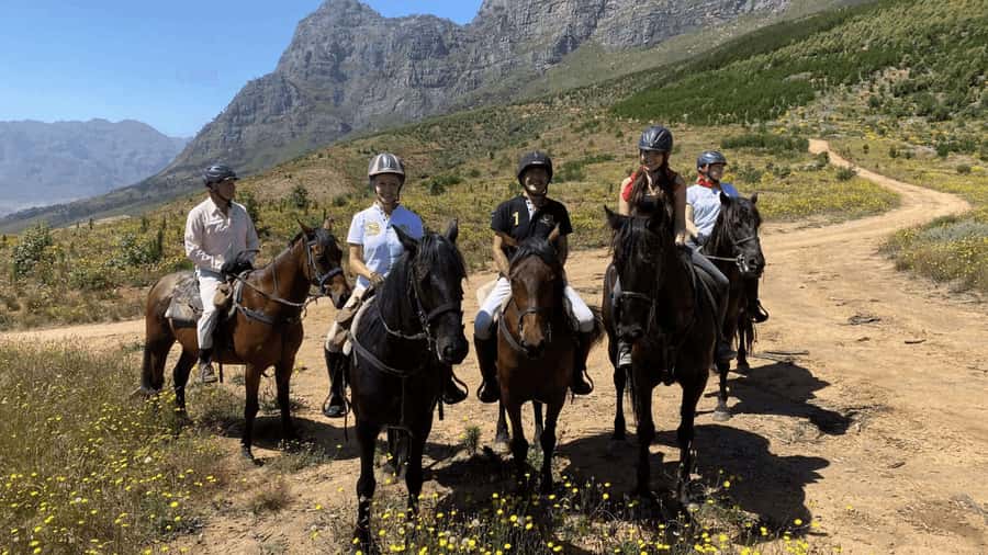 Vrede en Lust Wine Estate:1-Hour Horseback Riding Experience - Arriving early at Vrede en Lust